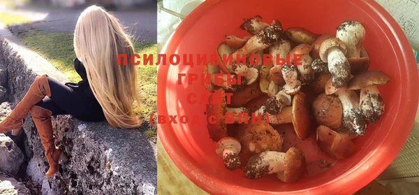 spice Алексин