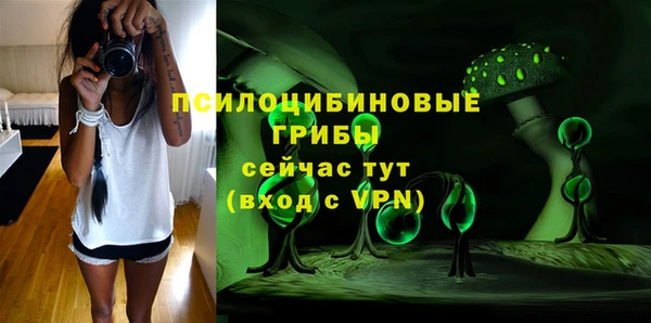 spice Алексин