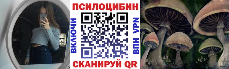 Псилоцибиновые грибы прущие грибы Старая Русса