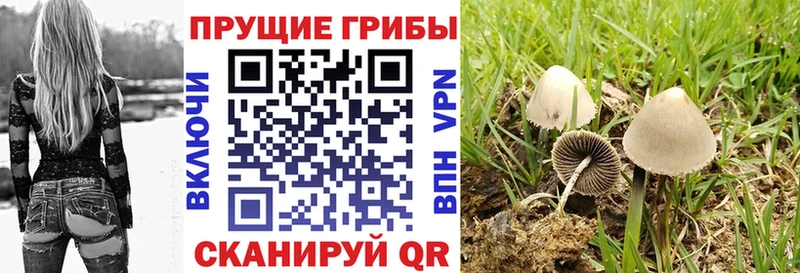 ОМГ ОМГ рабочий сайт  Старая Русса  Псилоцибиновые грибы ЛСД 